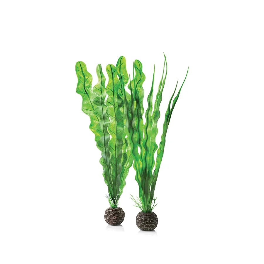Organic BiOrb Aquarium Easy Plant Set Green Medium Expertly Made