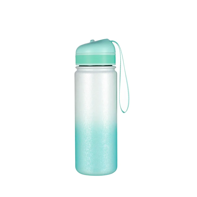 Contemporary High Quality Stainless Steel Drink Bottle 02554A Certified