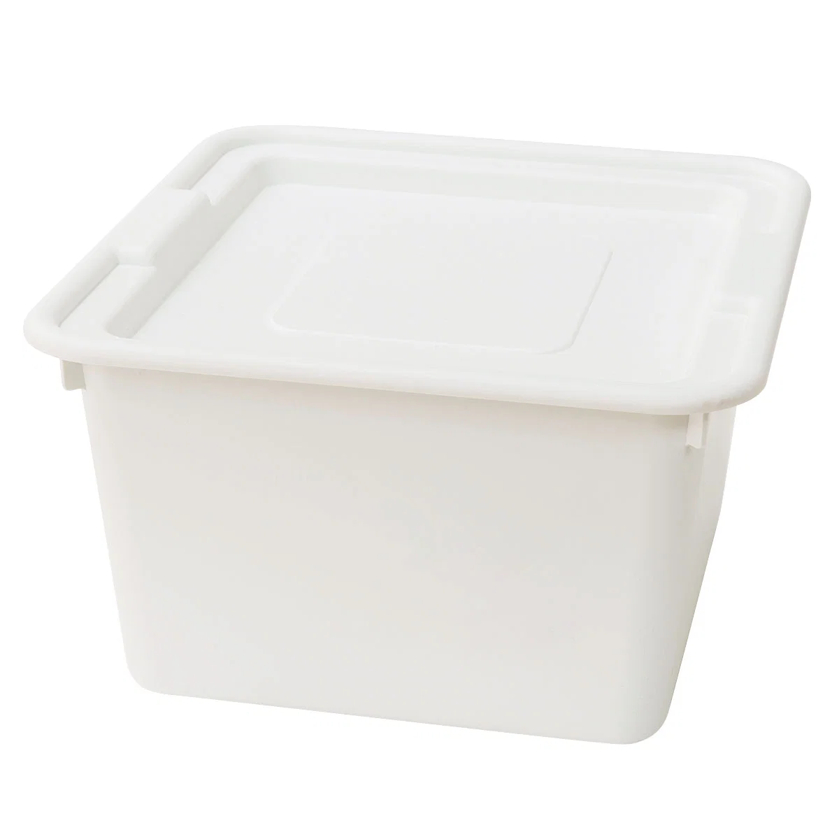 Healthy STORAGE CONTAINER WITH LID N-ROBIN REG WH Sophisticated