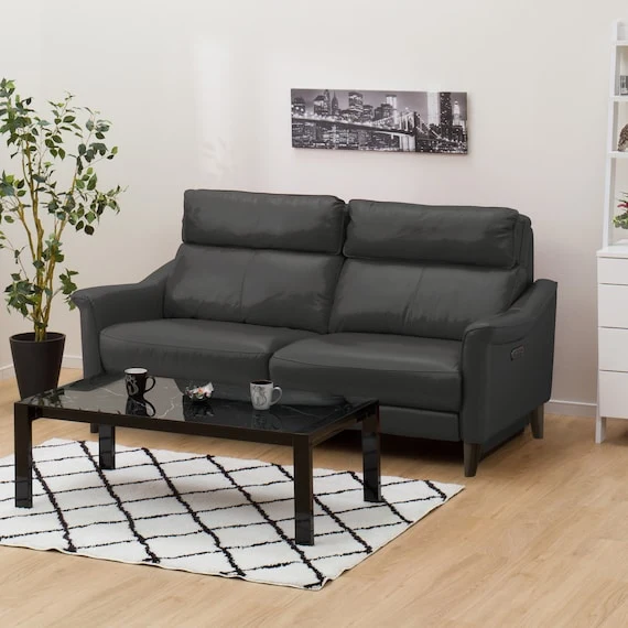 Clean 3P ELECTRIC SOFA CHERRYB SK GY Unique