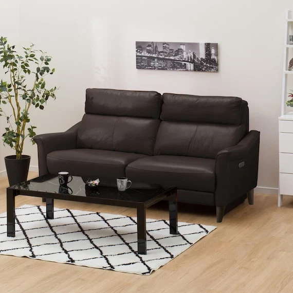 Fine Crafted 3P ELECTRIC SOFA CHERRYB NB DBR Trendy