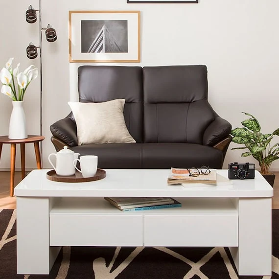 Elegant 2 SEAT SOFA N-SHIELD KOTEI3 DBR Refined