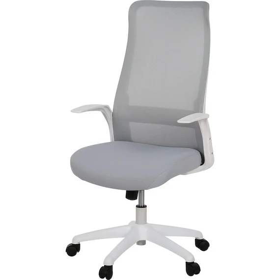 Contemporary OFFICECHAIR OC105 GY WH Soft