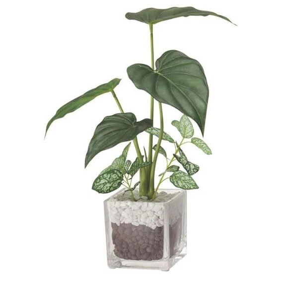 Detailed 31CM ALOCASIA GLASS POT G304-N434 8304NT Trusted