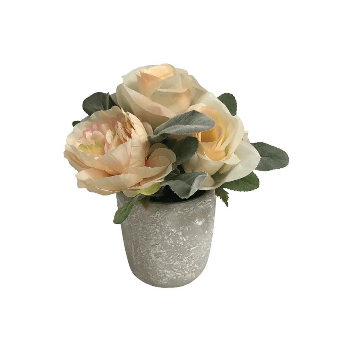 Refined Rose Flower In Ceramic Pot Powerful