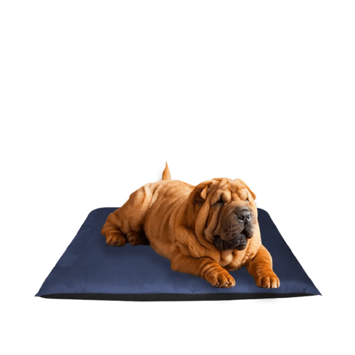 Soft Jacquard Dog Bed Authentic