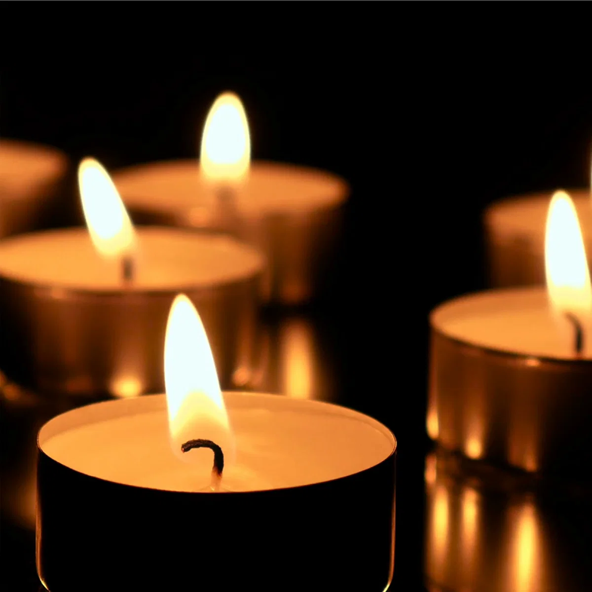 Proven STUDIO 707 – Tealight 4 Hour-50 Pieces Solid