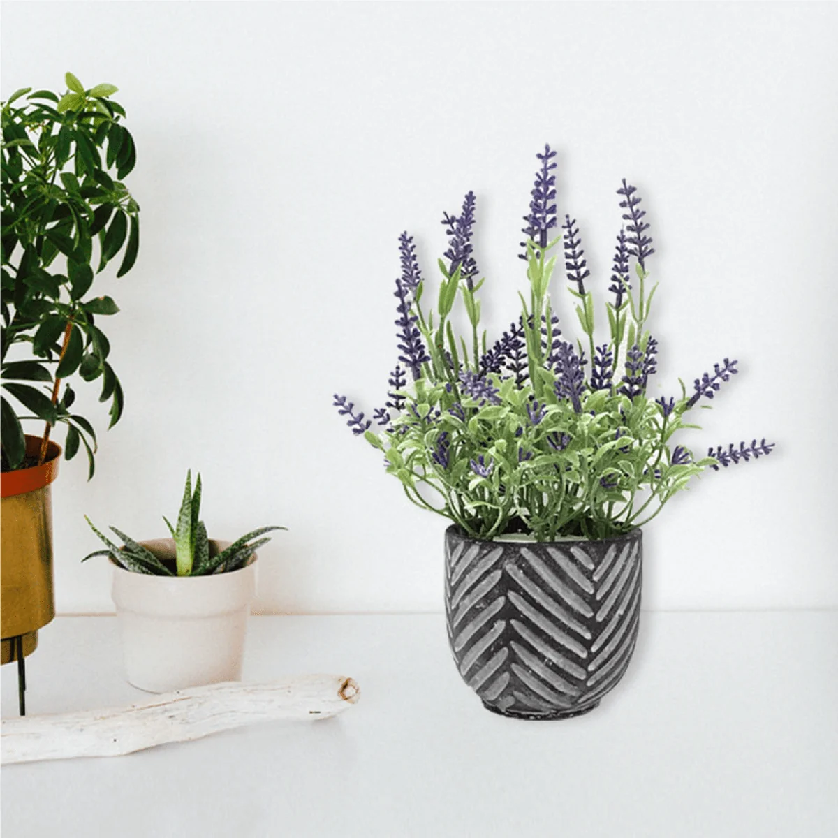 Reusable Lavender In Black grey Cement Pot 16 24 Responsible