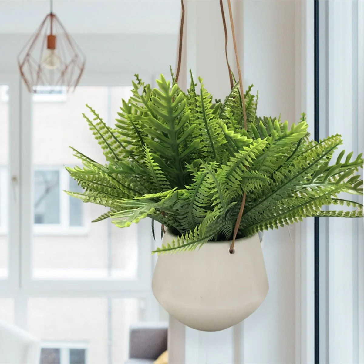 Professional Fern White Ceramic Pot W rope Advanced