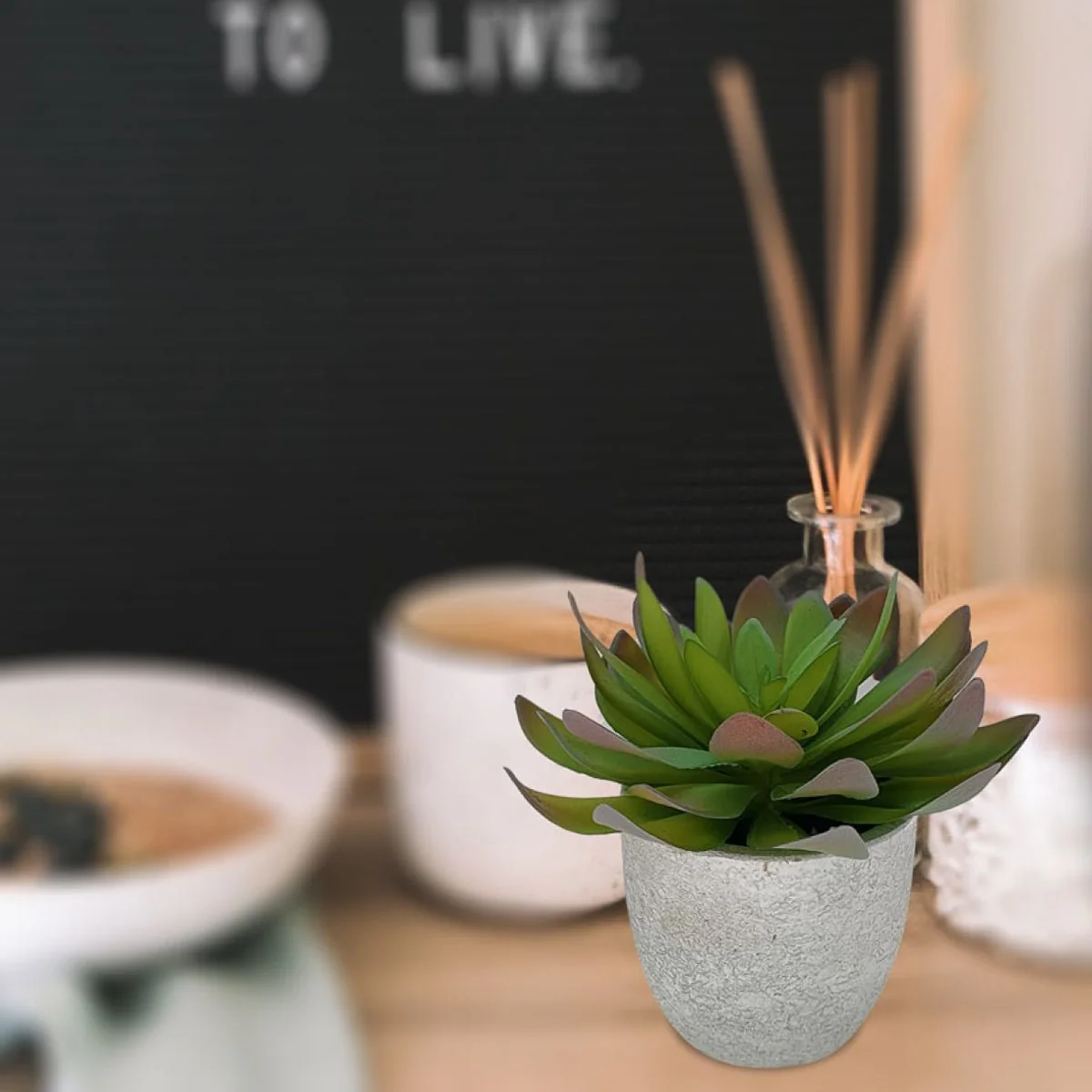 High-Grade Succulent Cement Pot 13×13 Breathable