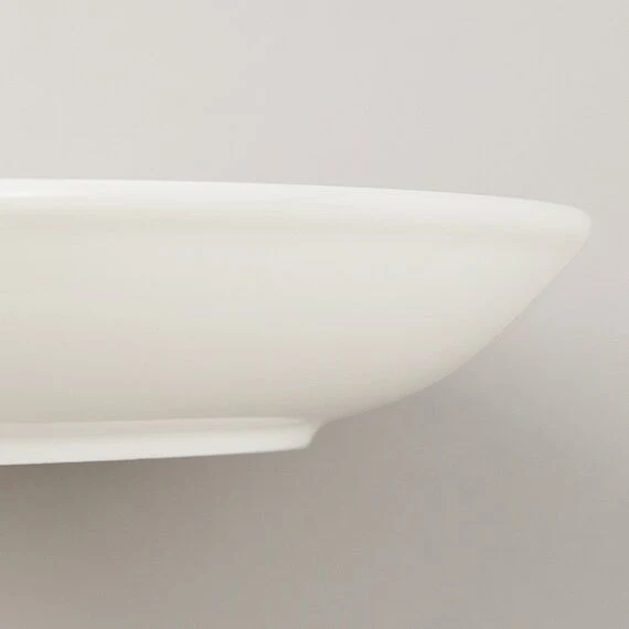 Easy-to-Use DEEP PLATE 24CM A25754 D24XH4 Top-Quality