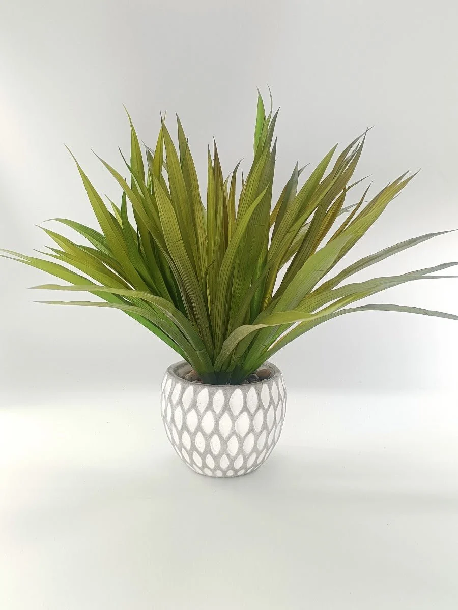 Carefully Designed LAUREN TAYLOR -Artificial Plant Grass Cement Verified