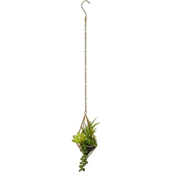 Next-Generation SUCCULENT IN HANGING METAL CASE 8X8 Dependable