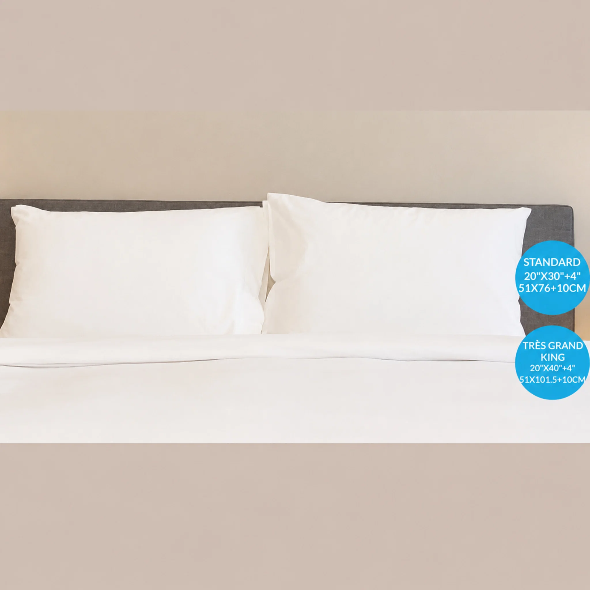 Trusted Lauren Taylor T300 Assorted Pillow Case pair Reusable