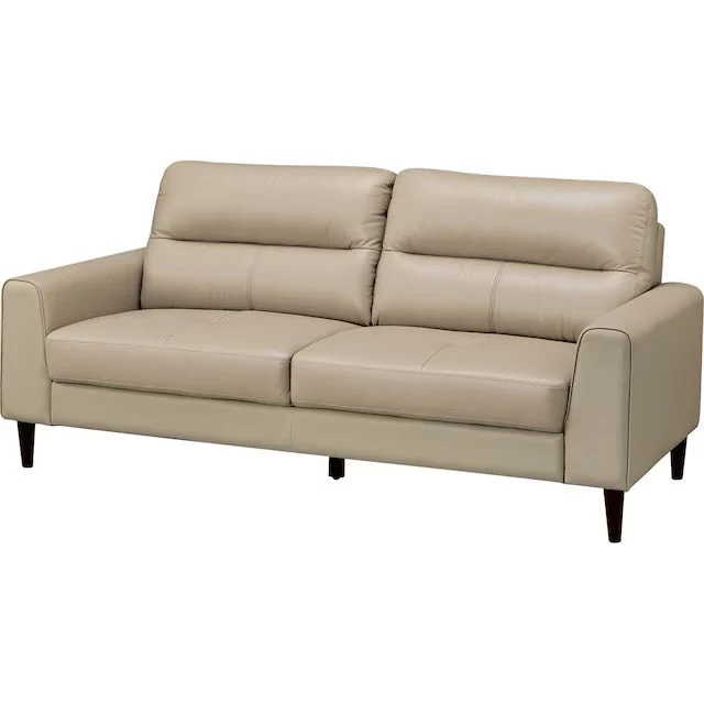 Detailed 3P SOFA SW01 GY Authentic