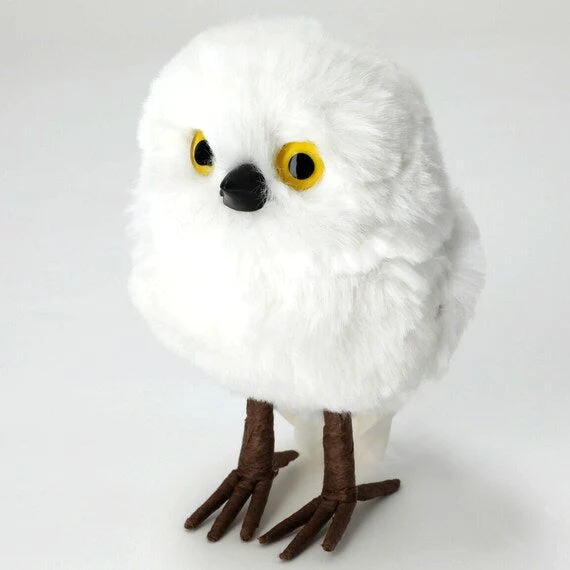 Casual STANDING OWL-M N2RC Luxury
