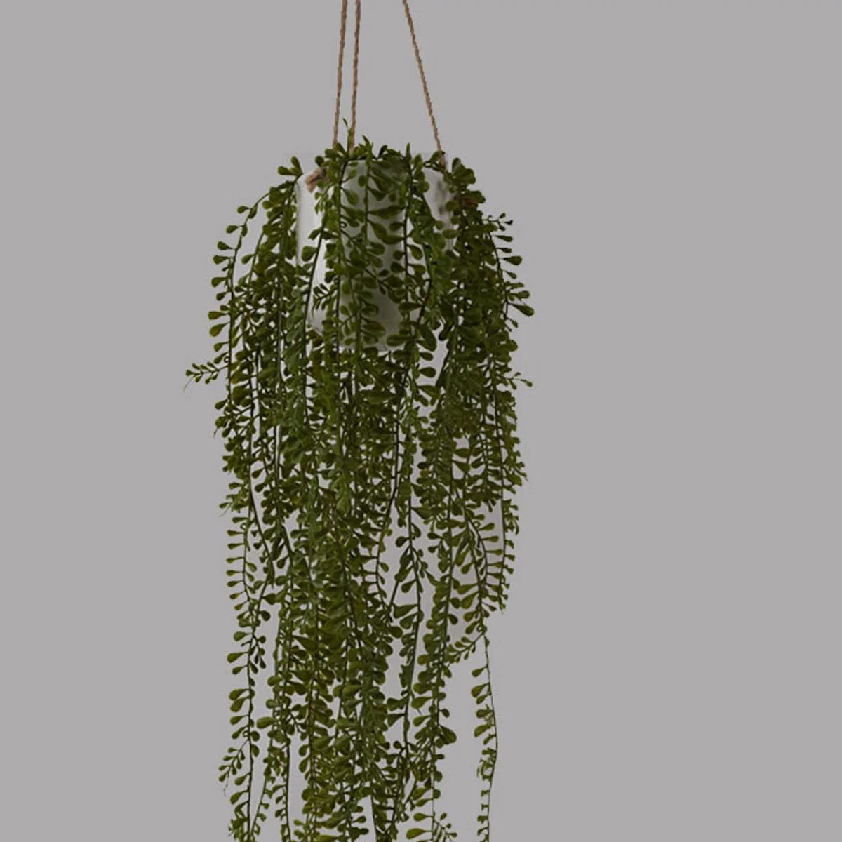 Organic Artificial Hanging Pearl String in Ceramic Pot Exclusive