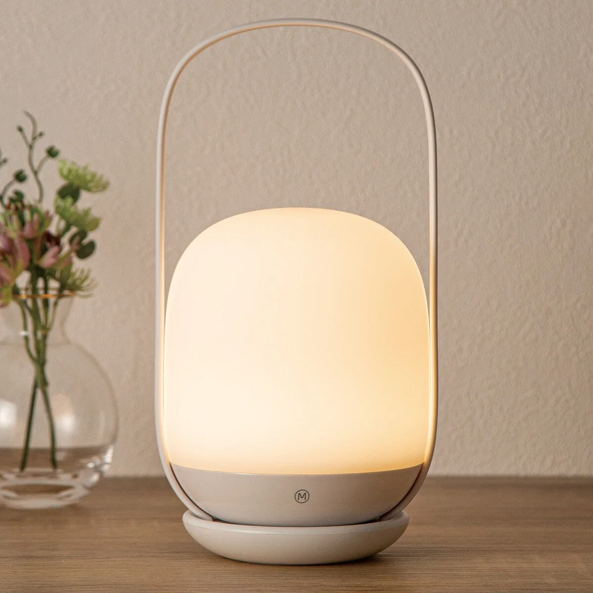 Advanced LANTERN ST001 Versatile