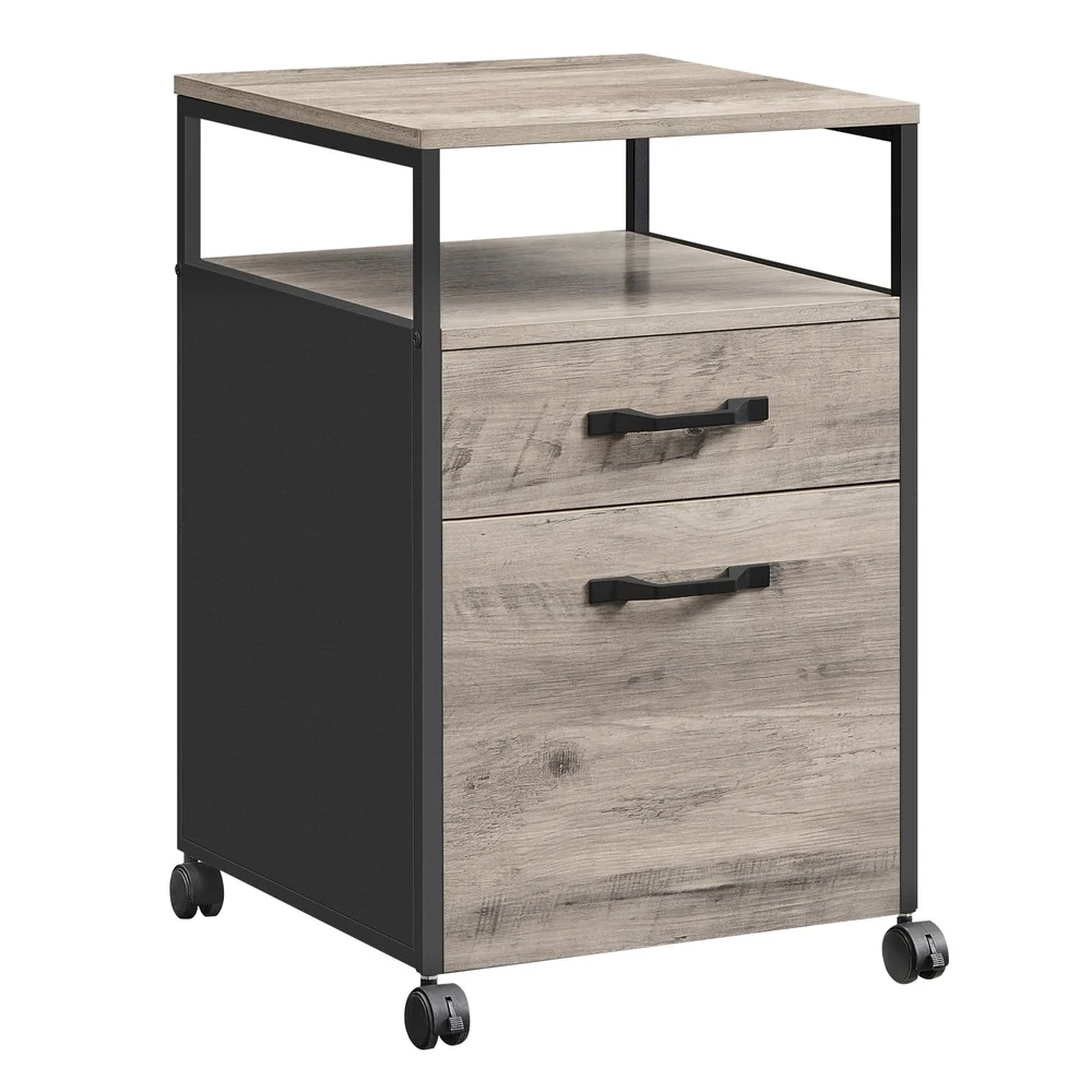 Lightweight VASAGLE File Cabinet Specialty