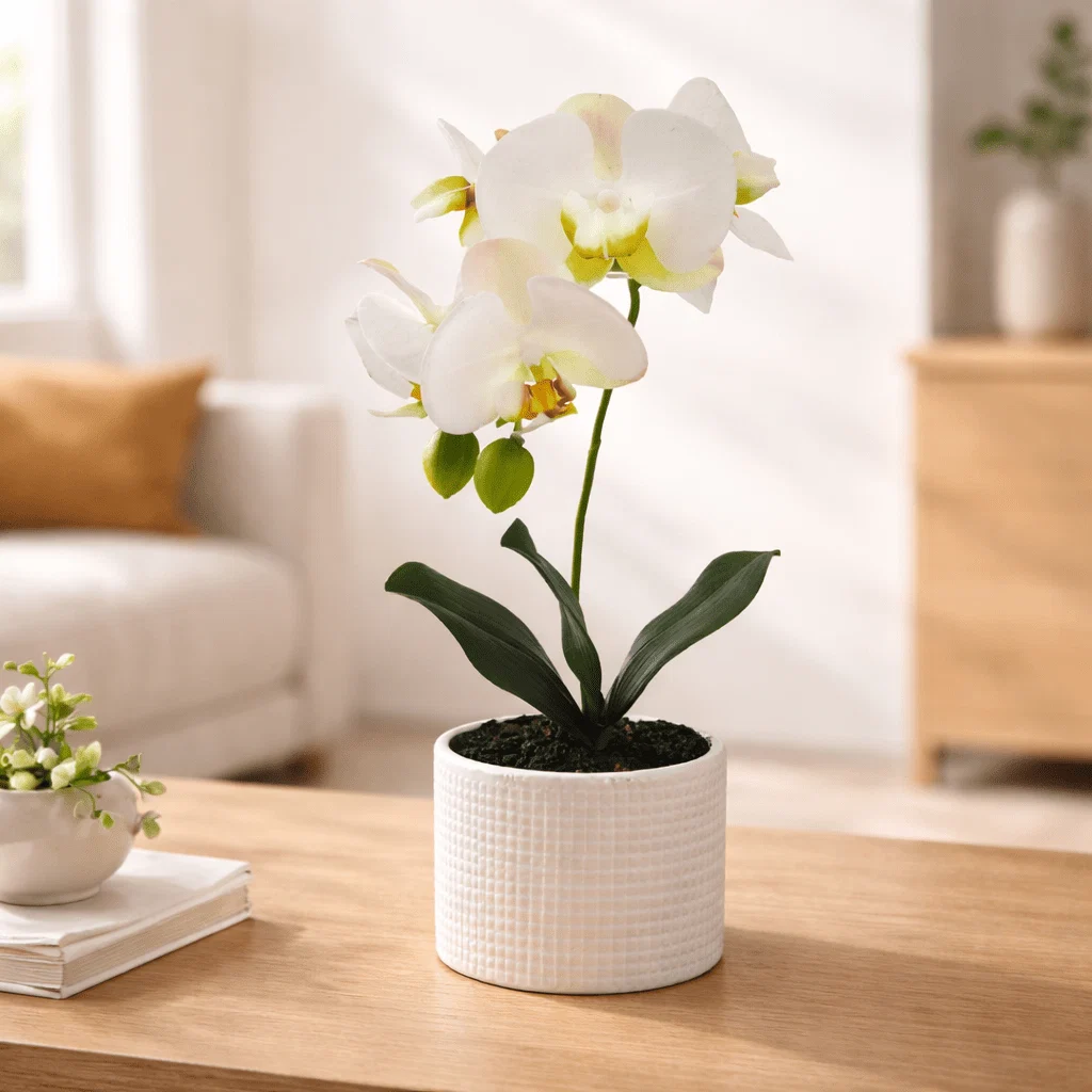Next-Generation Artificial Orchid in Decorative Pot Artisan