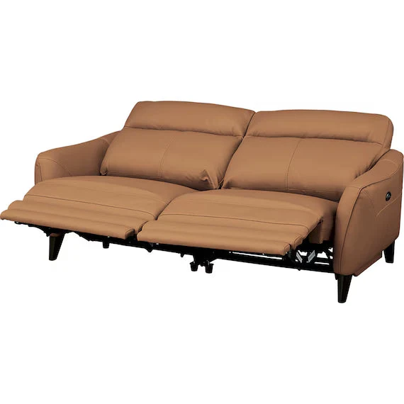 Traditional ELECTRIC 3P SOFA LS06 NW BR Premium Material