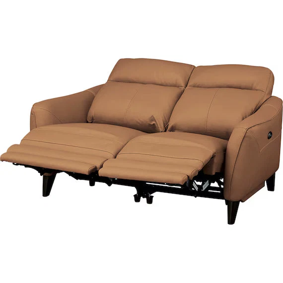 Recyclable ELECTRIC 2P SOFA LS06 NW BR Premium