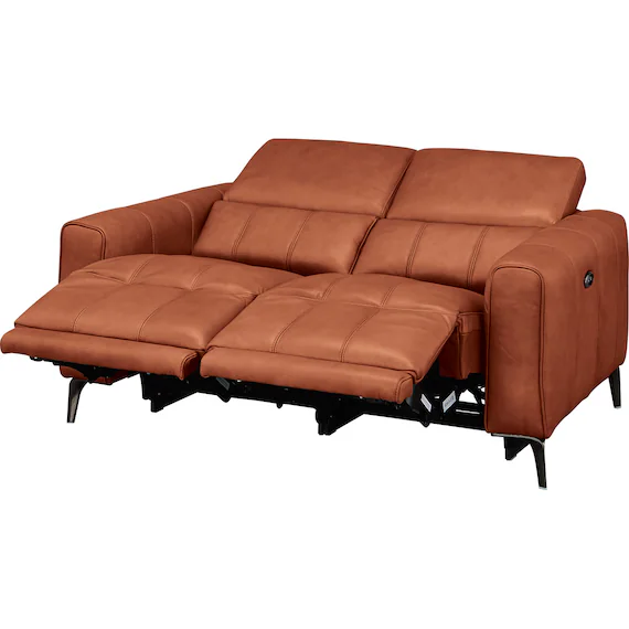 Modern ELECTRIC 2P SOFA LS05 SK BR Trendy