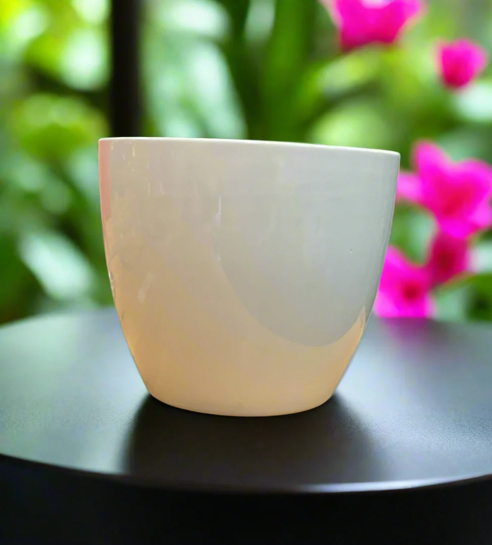 Minimalist LILY CACHE POT 5.5 quot GLOSSY WHITE Carefully Designed