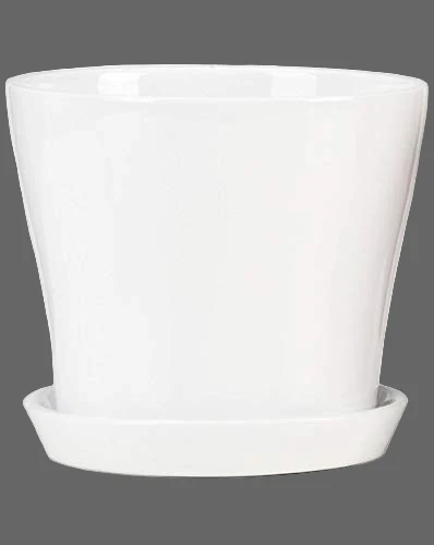 Recyclable SCHEURICH ALASKA 6 quot POT Fashionable