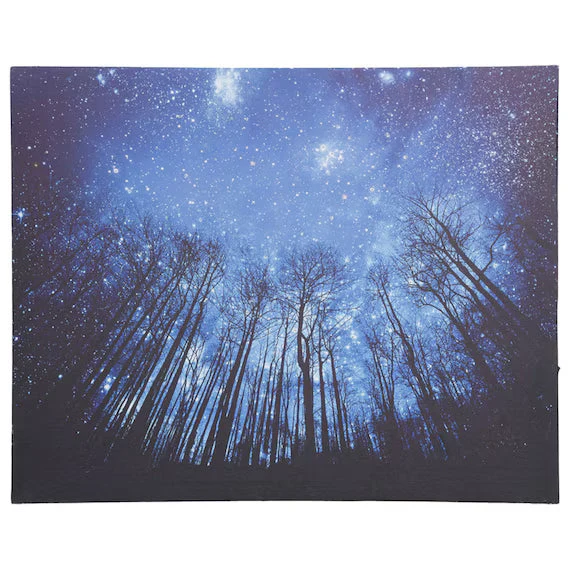 Contemporary LED CANVAS POSTER ZF01 Functional