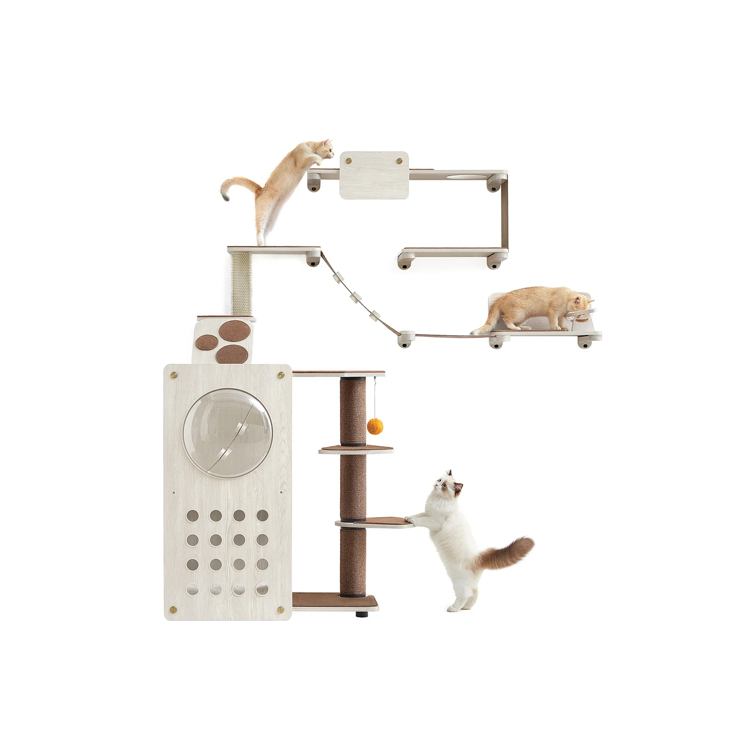 Natural Clickat Land Set of 7 Cat Wall Furniture Consistent