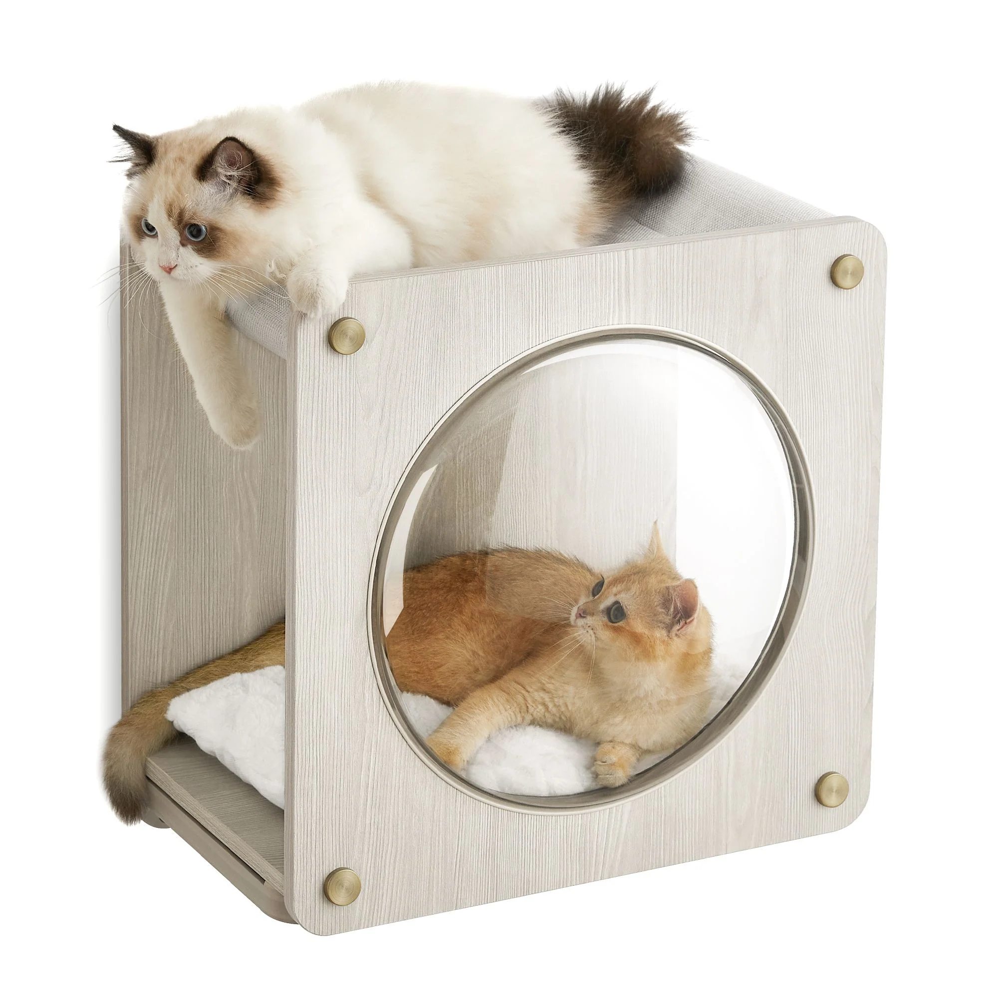 Certified Clickat Wall-Mounted Cat Cave with Observation Window Smooth