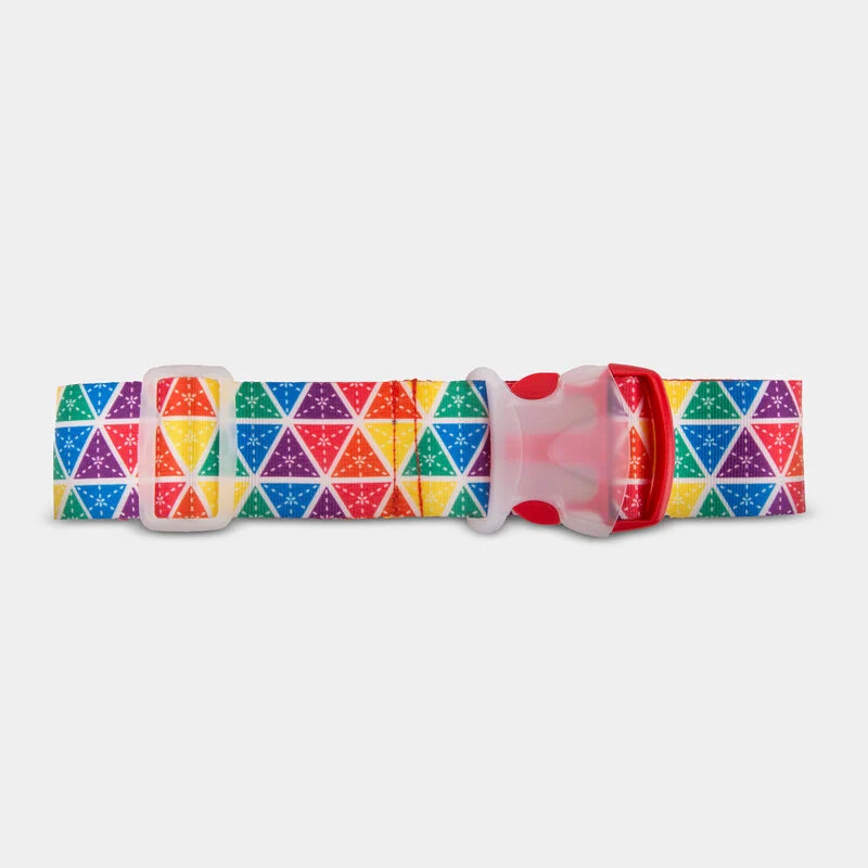 Reliable LUGGAGE STRAP RAINBOW Optimized