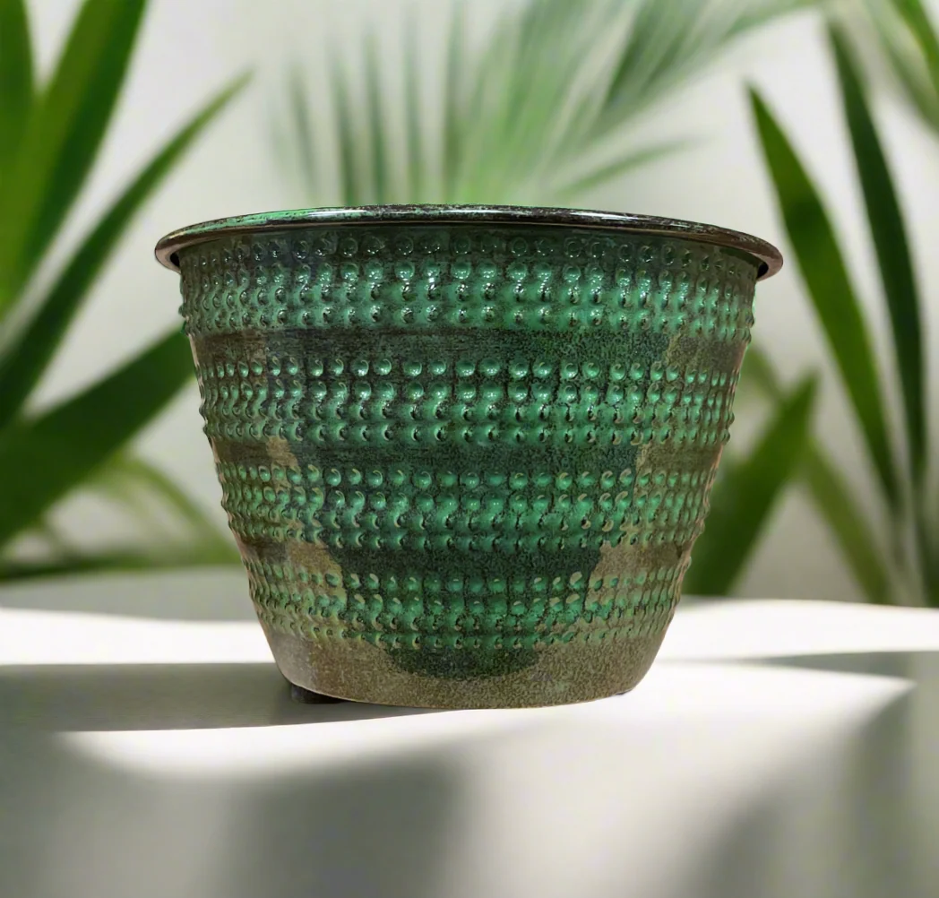 Long-Lasting 6 quot COBBLESTONE PLANTER KALE Exclusive