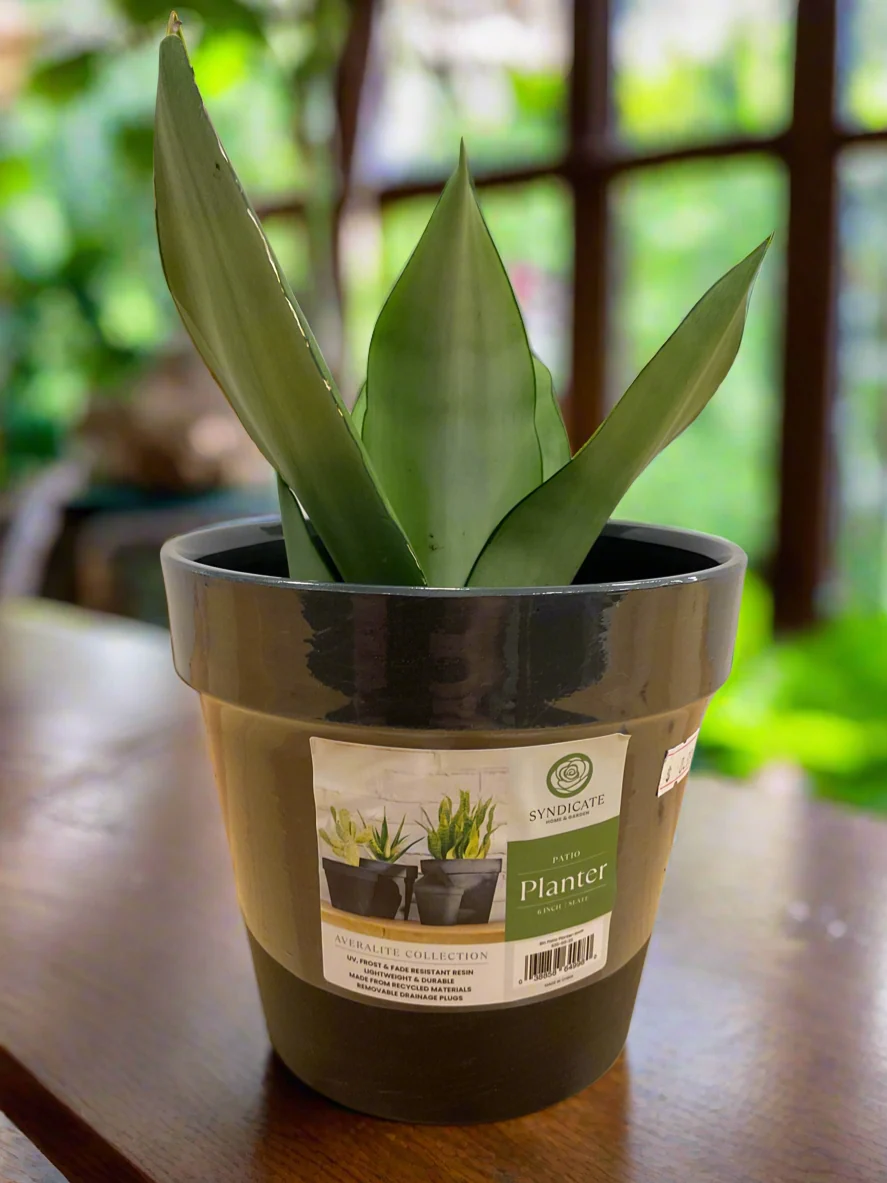 Trusted AVERLITE PLANTER 6 quot SLATE Unique