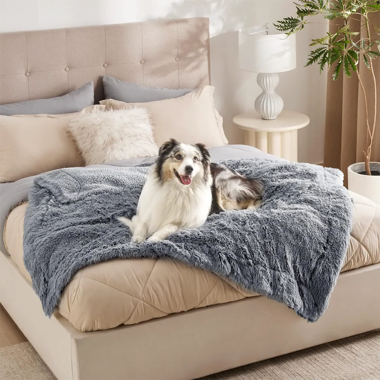 Artisan Ownkoti Sherpa Waterproof Soft Blanket Pet Pad Fashionable