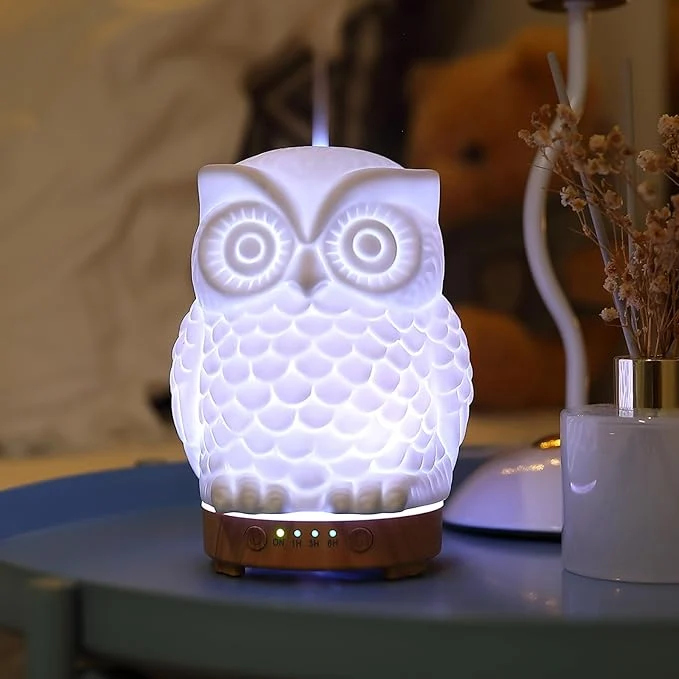 Clean Owl Ceramic Aromatherapy Diffuser INRORANS 160ml Stone ultrasonic Cool Mist Carefully Designed