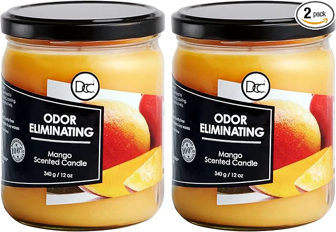 Reliable Mango Two Pack Odor Eliminating Highly Fragranced Candle Casual