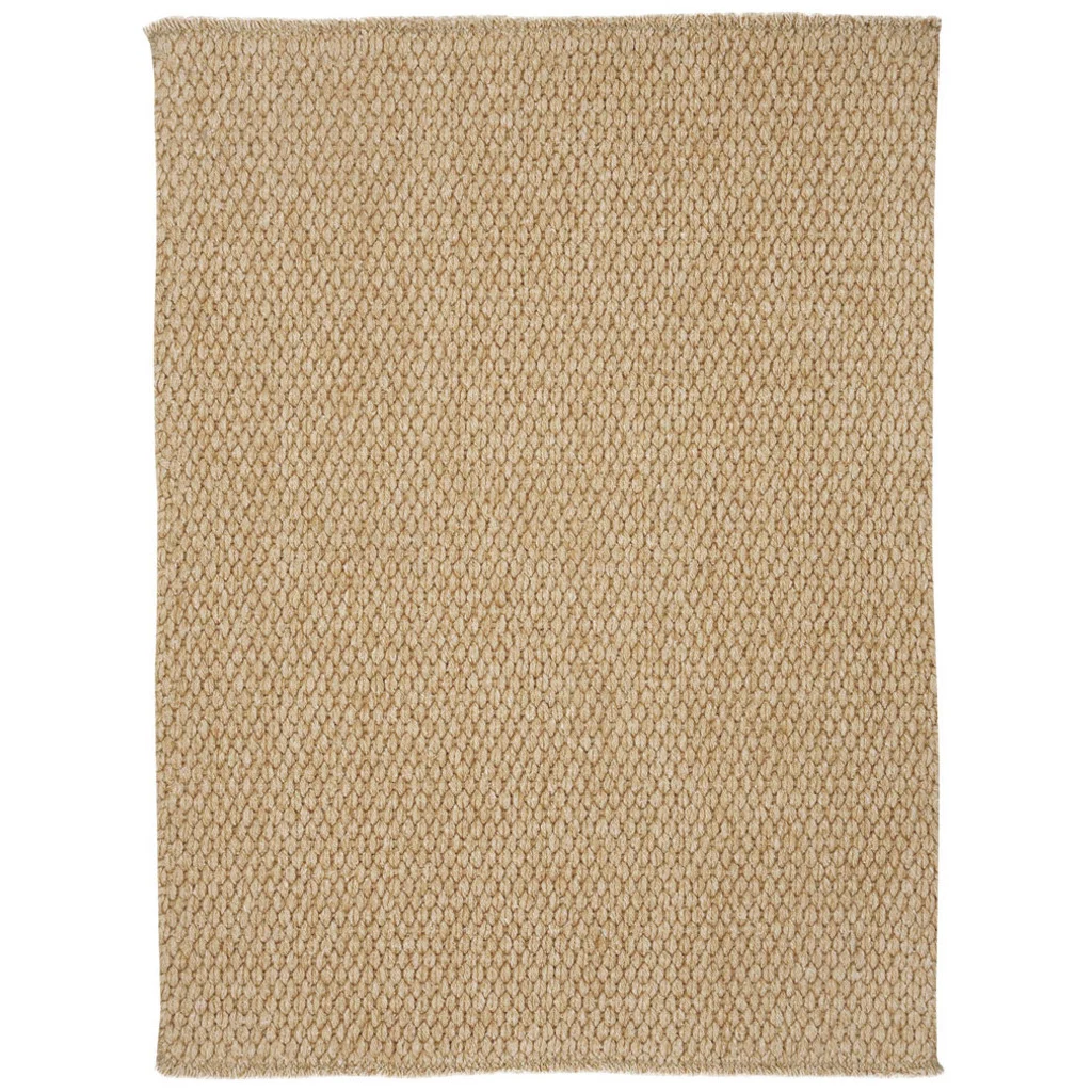 Fast Worthington Jute Rug Advanced