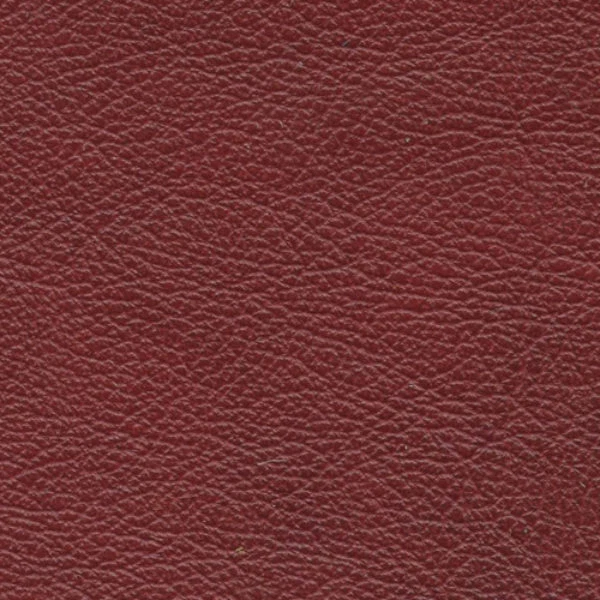 Responsible Salvador Caboose Leather by the Square Foot Functional
