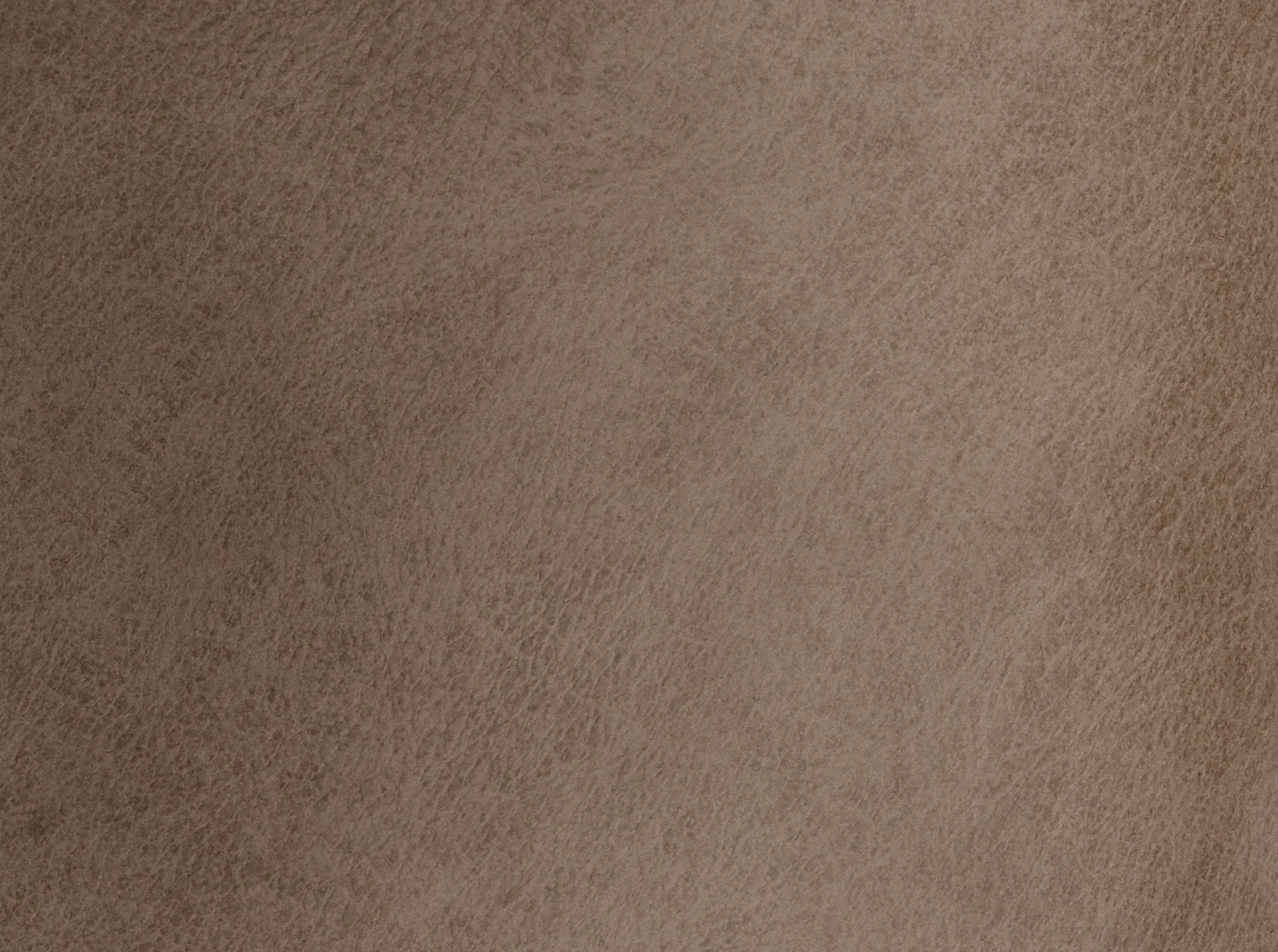Safe Evolution Silver Fox Leather by the Square Foot Convenient