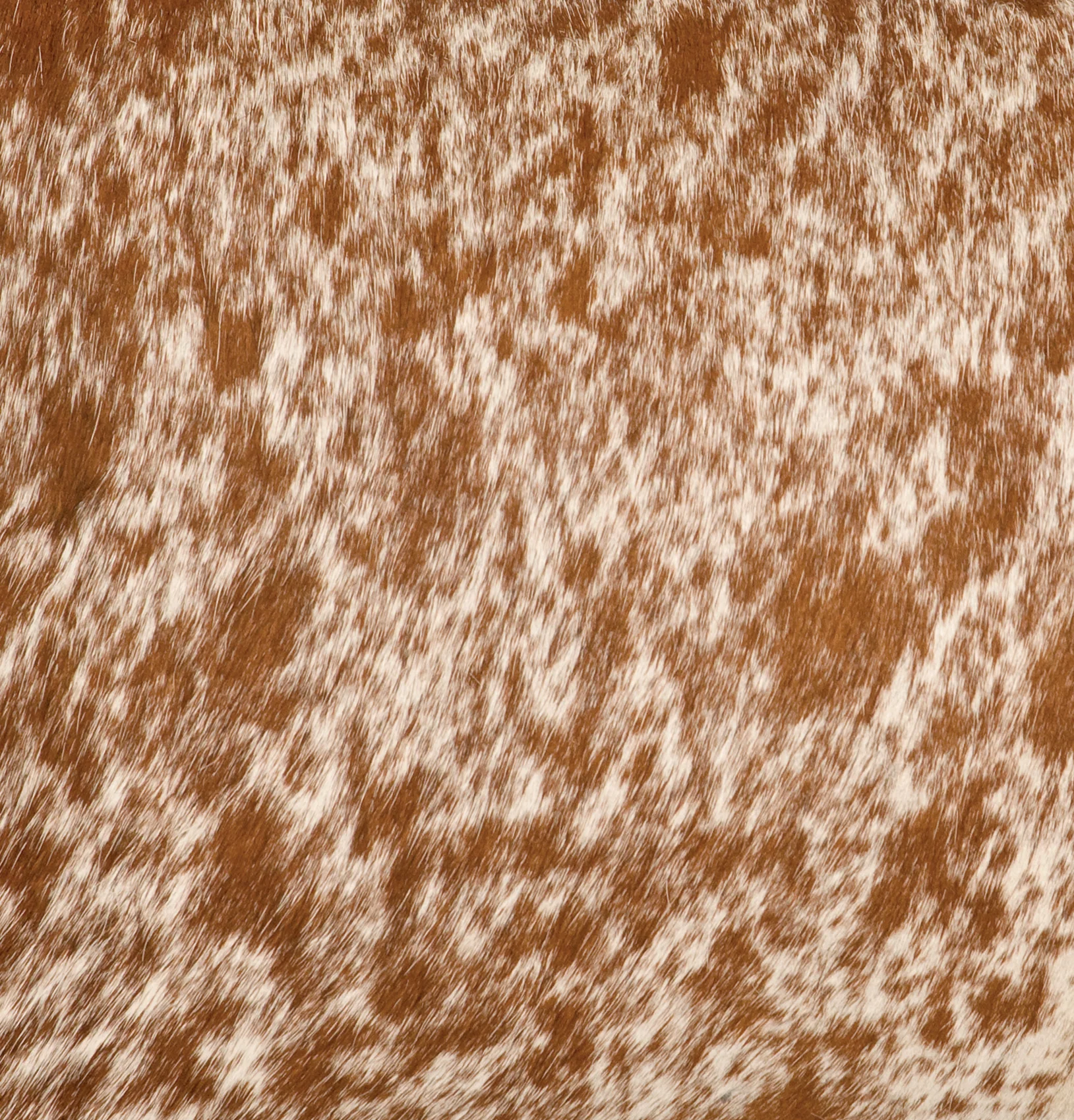 Exceptional Speckled Light Brown Hair on Hide Upgrade Leather by the Square Foot Lightweight