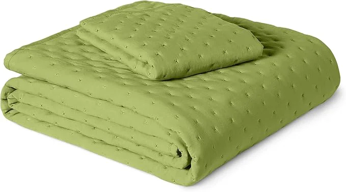 Verified Amazon Basics Brushed Microfiber Quilt Set Extra Soft with Natural Texture 2-Piece Twin Twin XL Green Powerful