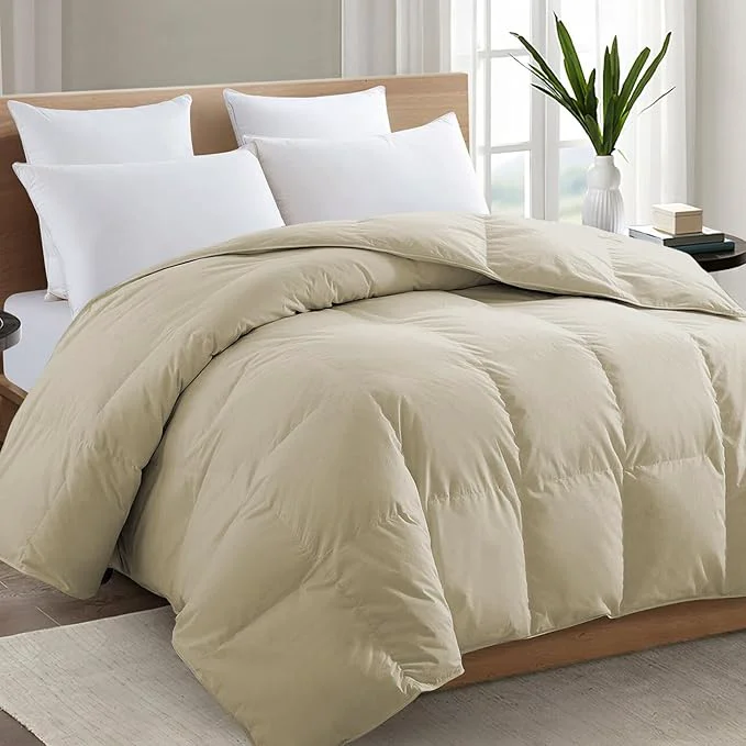 Outstanding TEXARTIST Premium 2100 Series California King Comforter All Season Breathable High-Performance