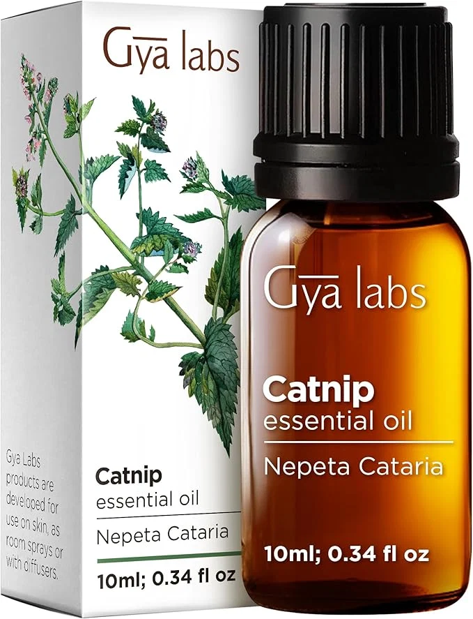 Optimized Pure Catnip Essential Oil Detailed
