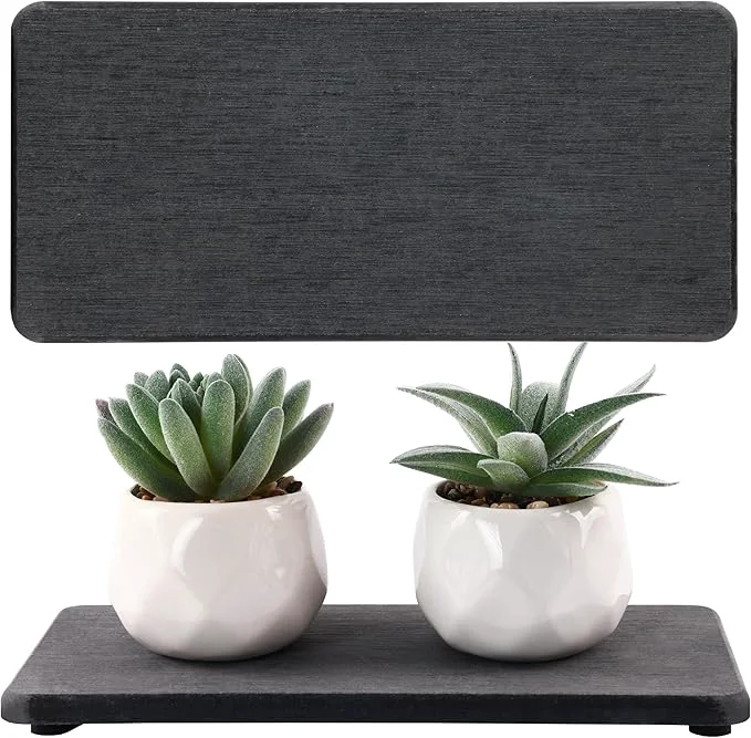 Original Design NiuYichee 2 Pcs Water Absorbing Stone Trays Kitchen Bathroom Sink Soap Dish Versatile