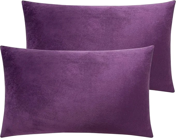 Fine Crafted NTBAY 2 Pack Zippered Velvet Queen Pillowcases Super Soft and Cozy Luxury Fuzzy Flannel Pillow Cases with Zipper 20×30 Inches Purple Proven
