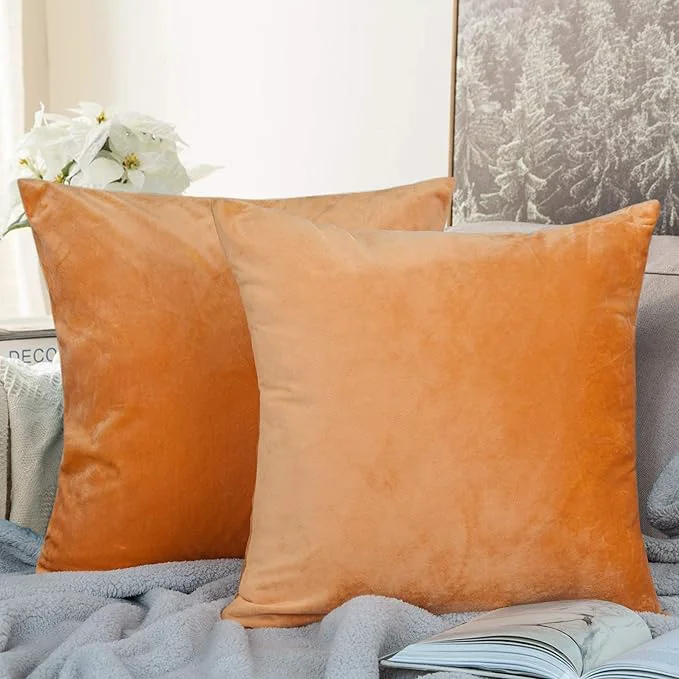 Certified NTBAY Zippered Velvet Square Throw Pillow Covers 2 Pack Soft and Luxury Decorative Cushion Cases 18×18 Inches Ginger Yellow Healthy