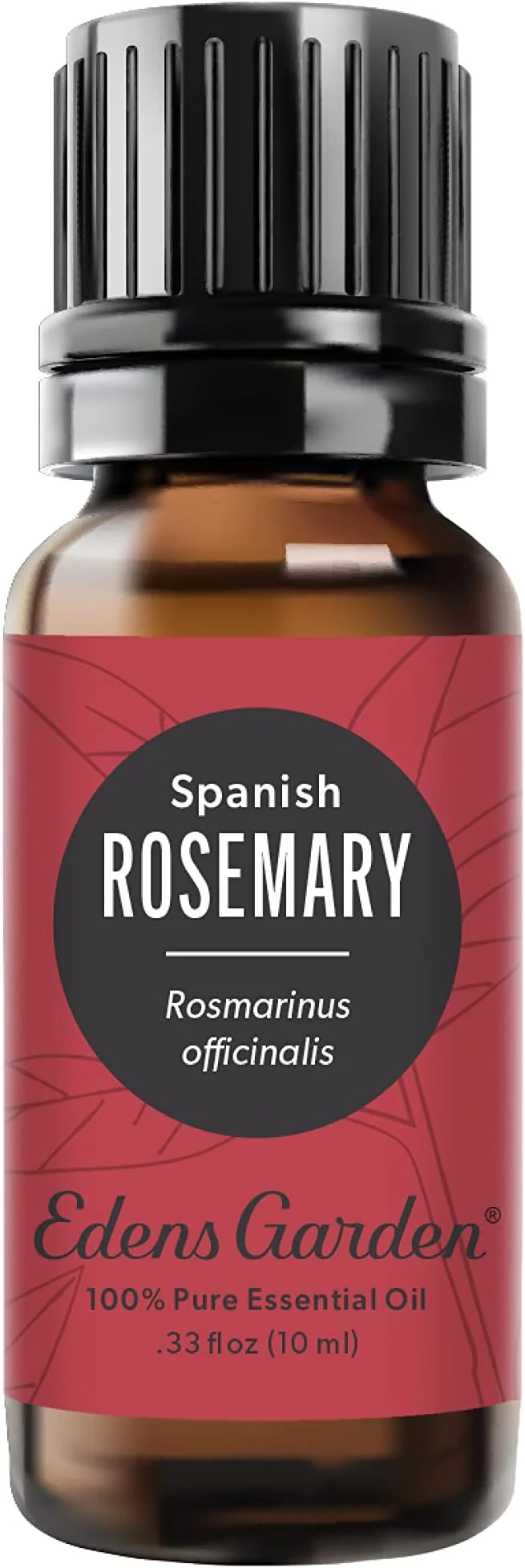 Long-Lasting Edens Garden Rosemary- Spanish Essential Oil- Pure Premium Grade Prestigious