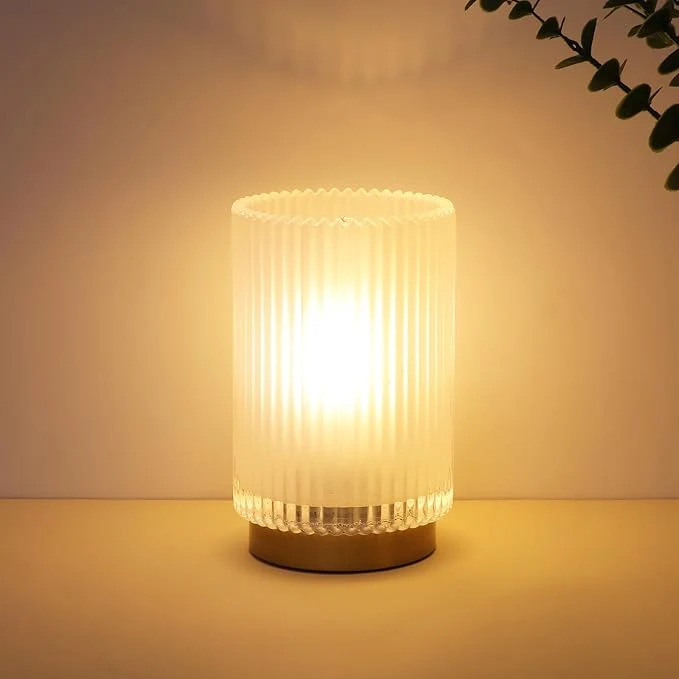 Fast Battery Operated Lamp Cordless Table Lamp Organic